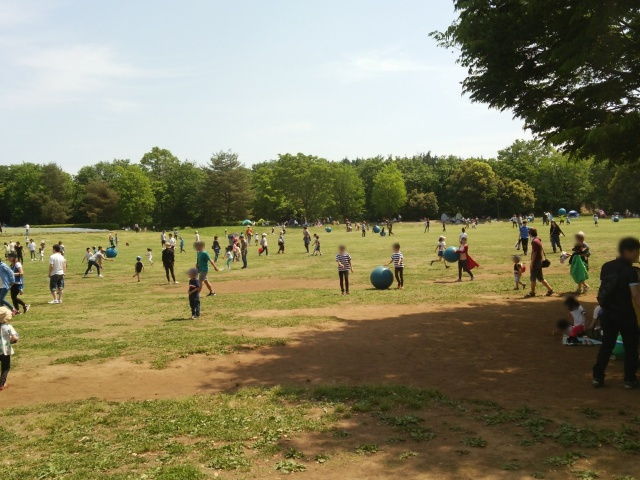 埼玉県 関東最大級の広さ 巨大ボールとキッズドームで丸一日遊べる 森林公園 小銭スト